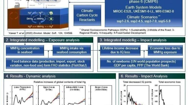 Assessing Impacts of Climate Change on Mercury Dynamics and Human Exposure Using a Global Model
